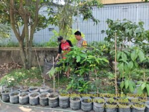 IMG-20260613-WA0074