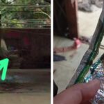 Diduga Jadi Tempat Peredaran Obat Keras Golongan G, Warga Minta APH Selidiki Kios di Desa Wanakerta